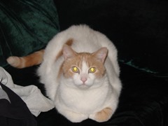 20050326182538-Bit-AAAQX