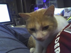 20060918095004-Bit-AAARC